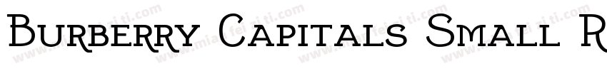 Burberry Capitals Small Regular字体转换